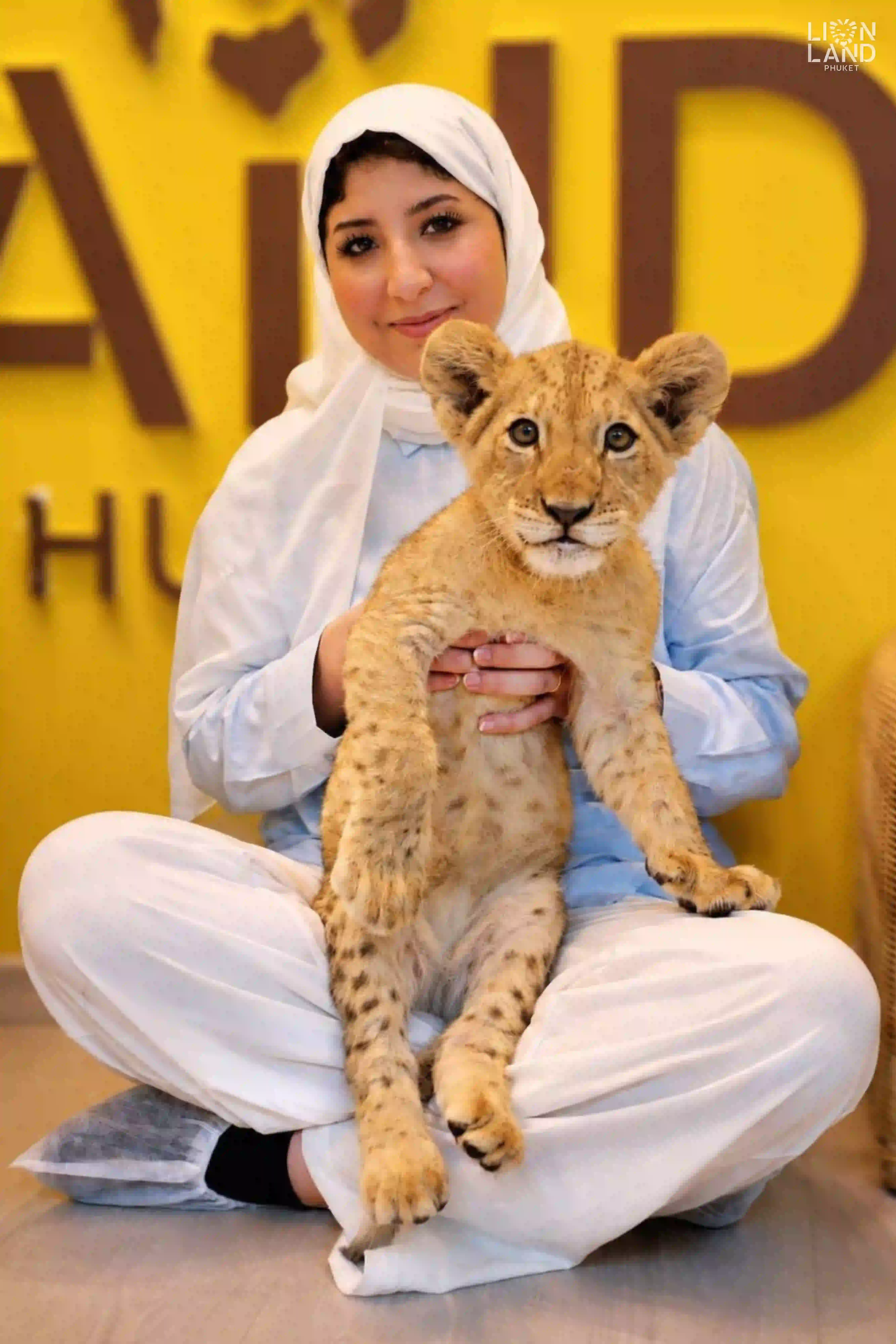 Lion Cub