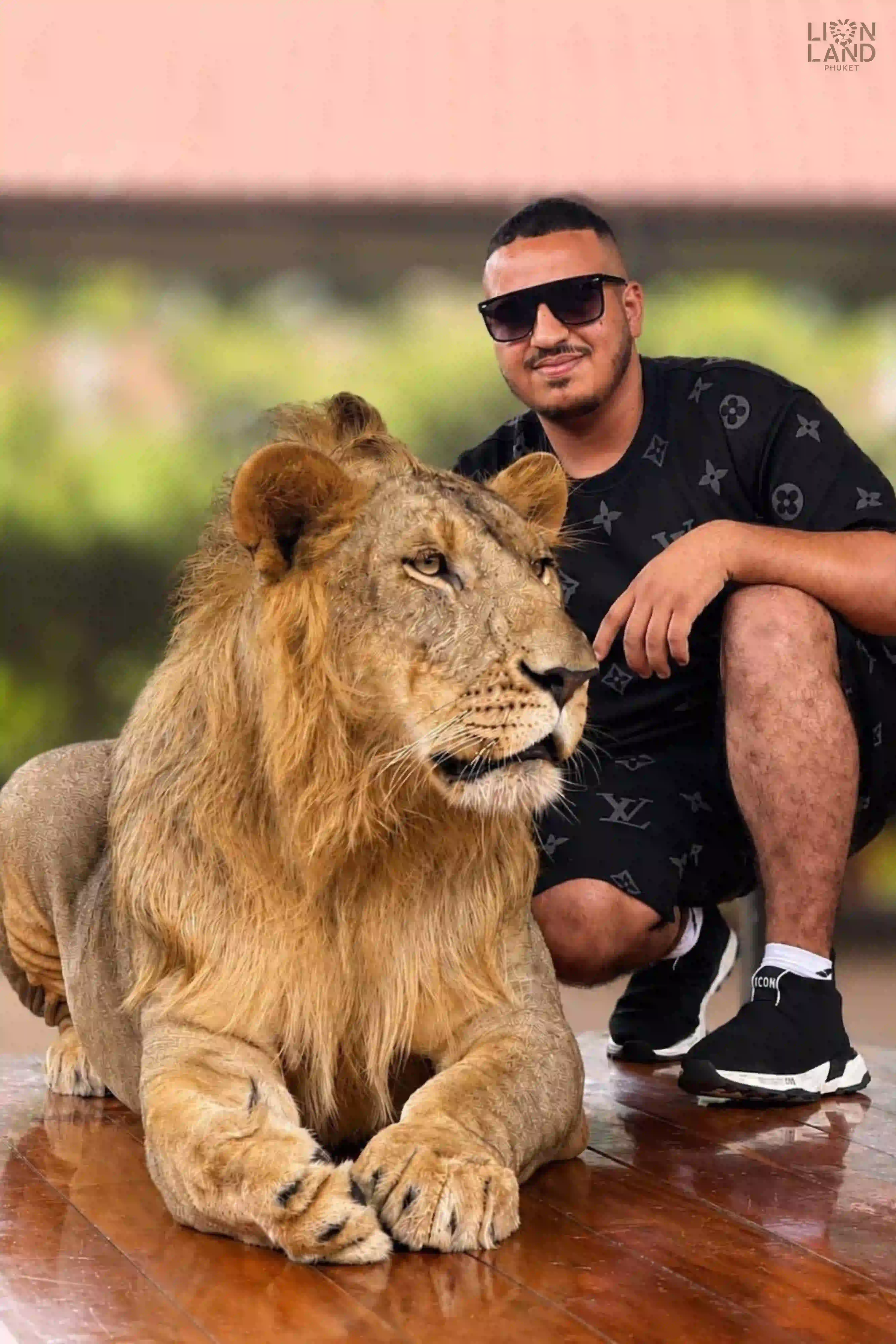 Big Lion