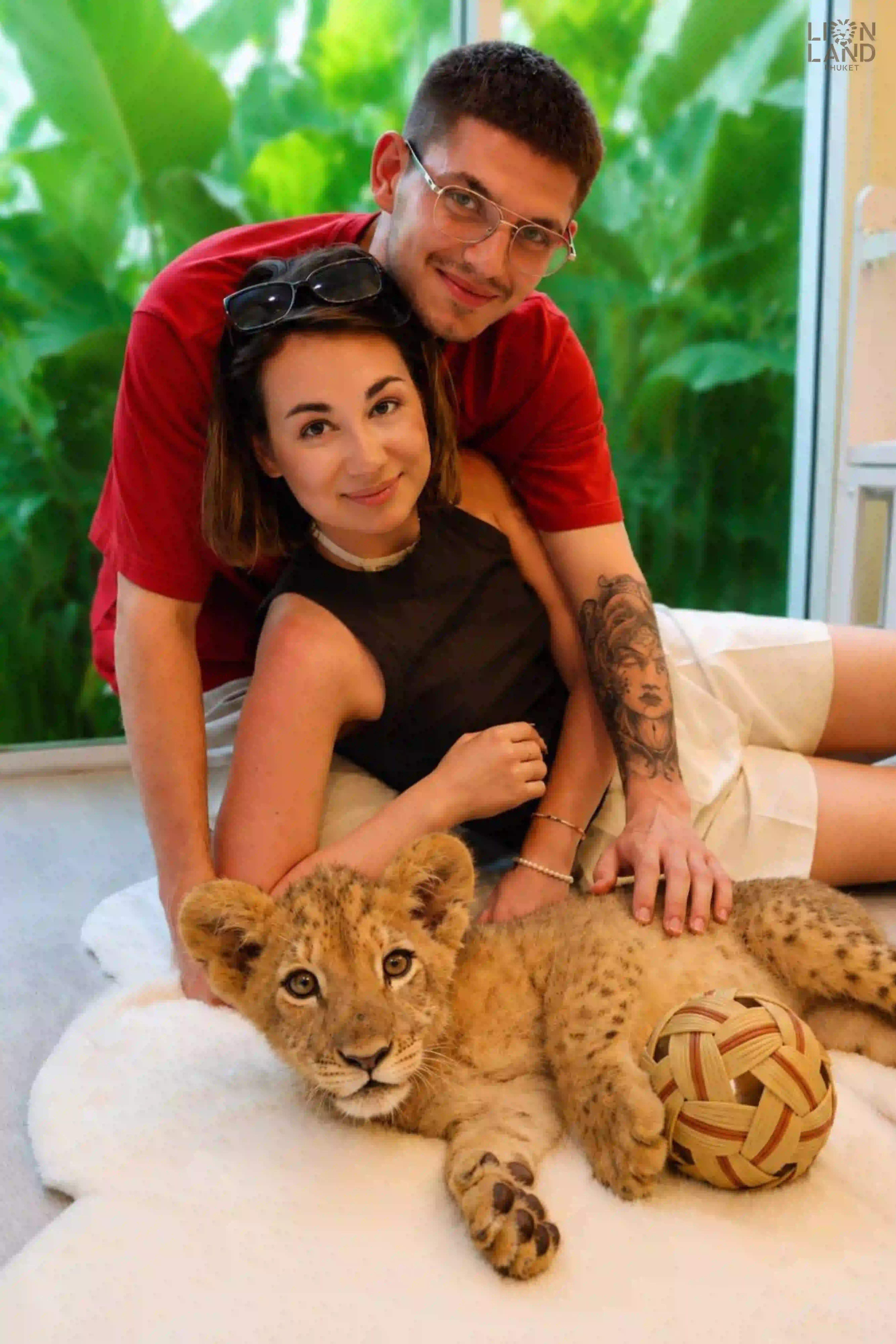 Lion Cub