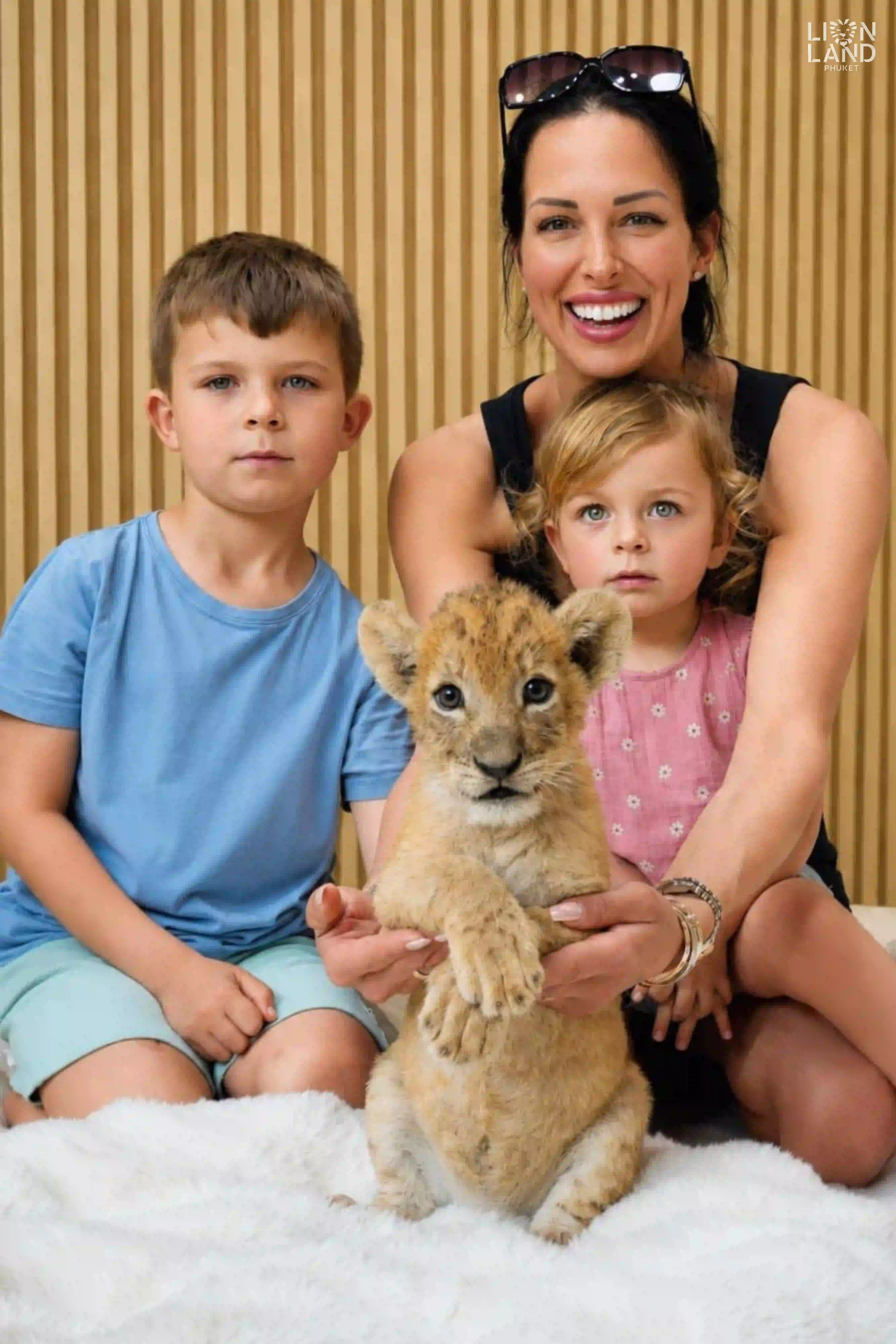 Lion Cub