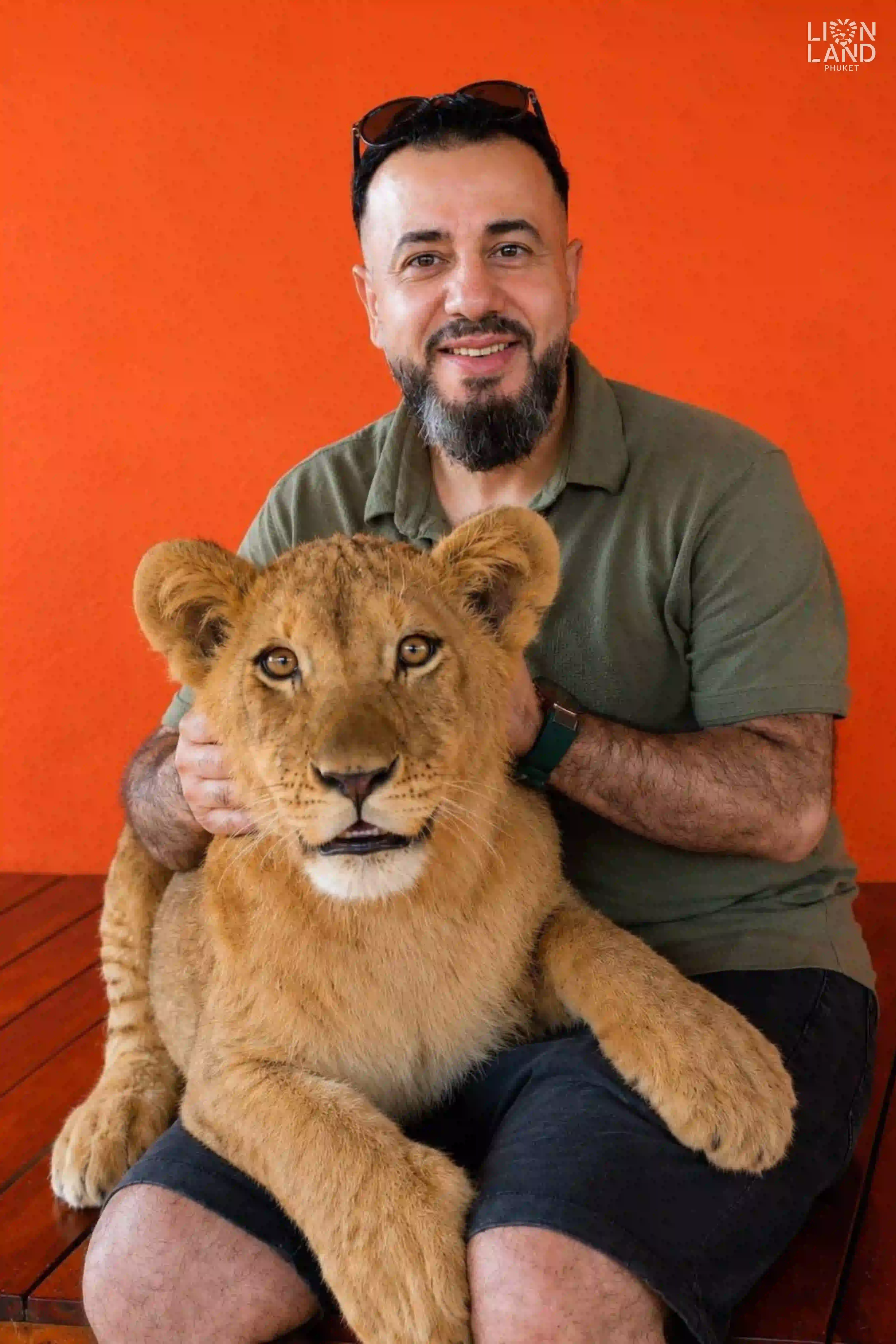 Baby Lion