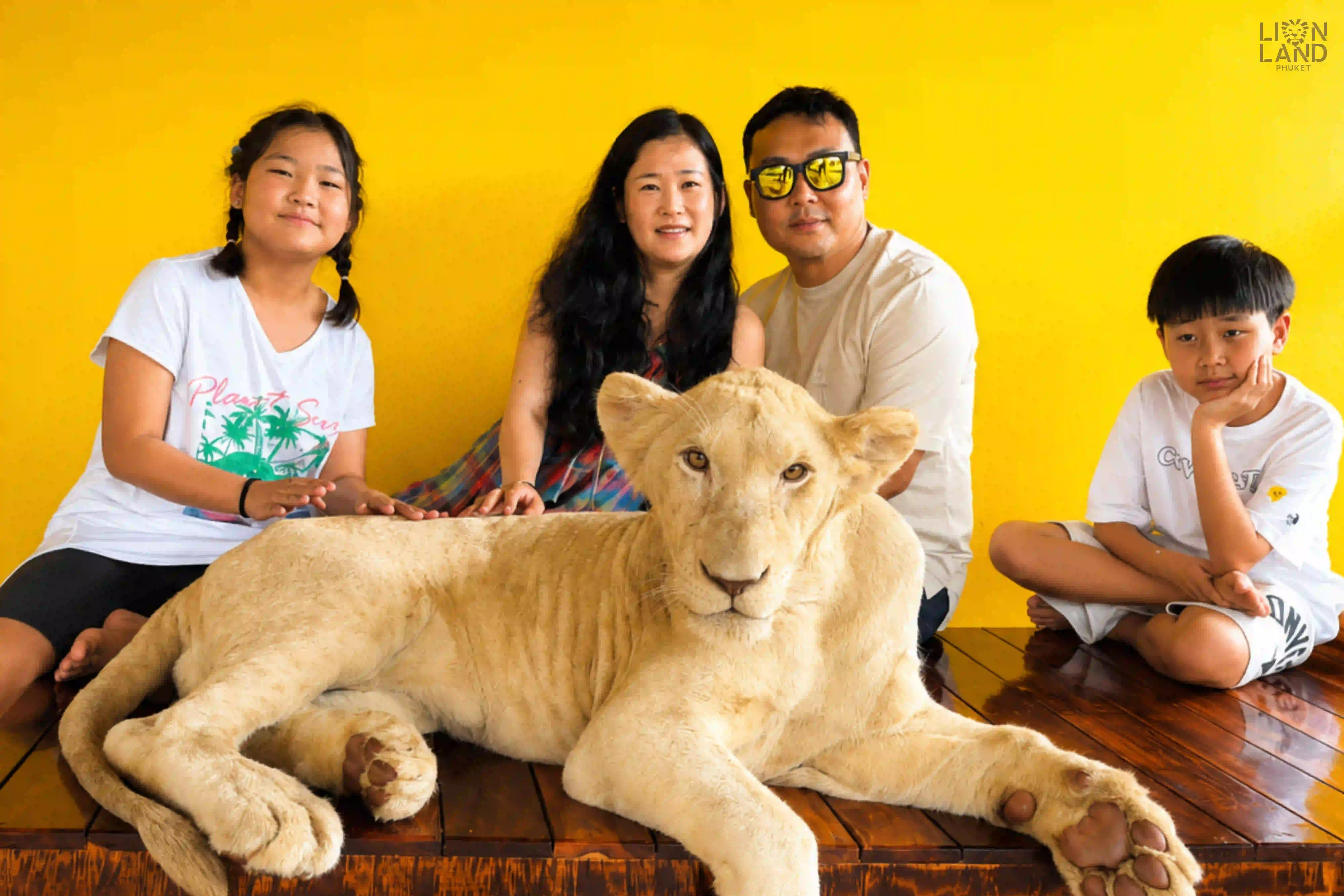 Young Lion