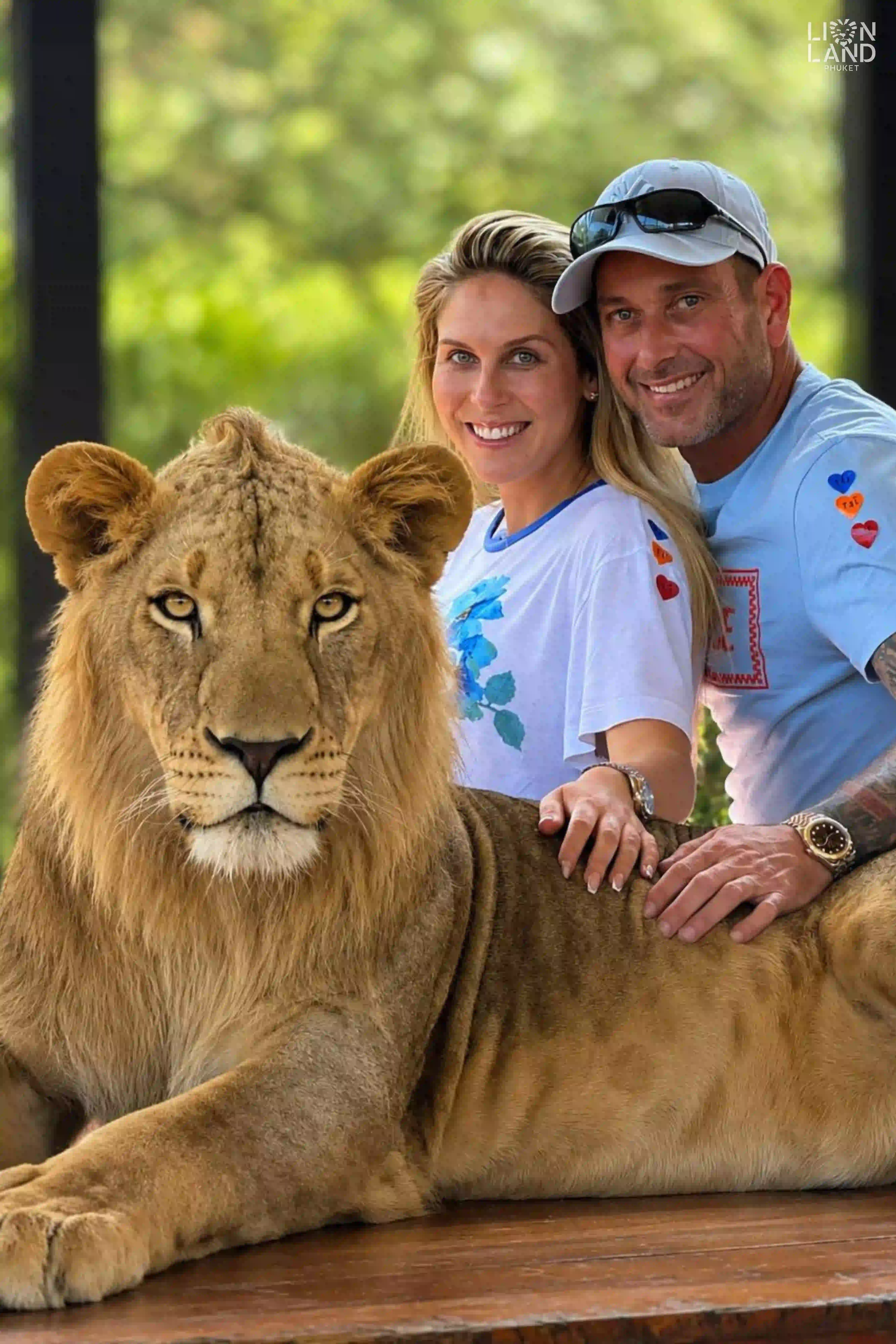 Big Lion