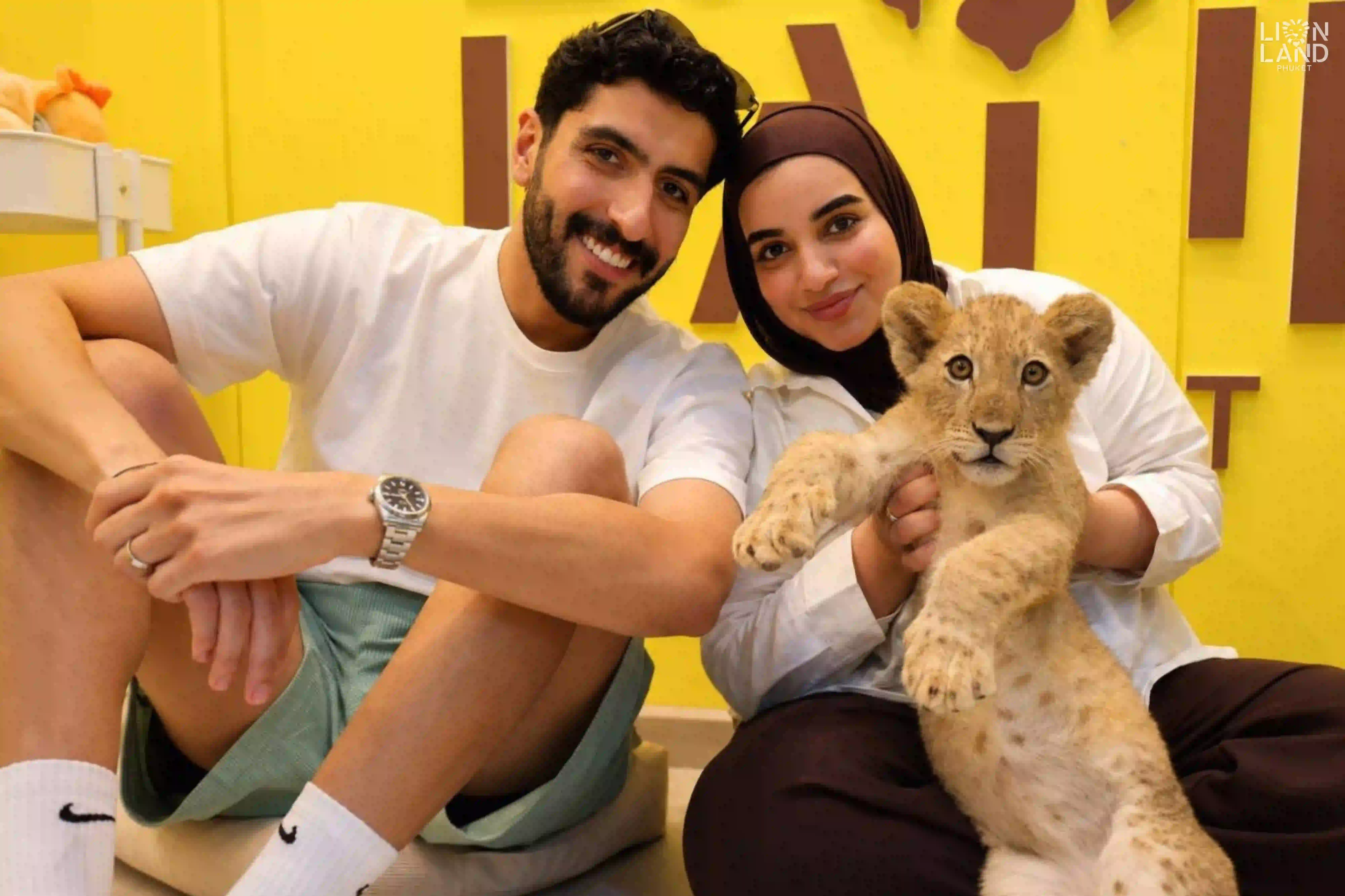 Lion Cub