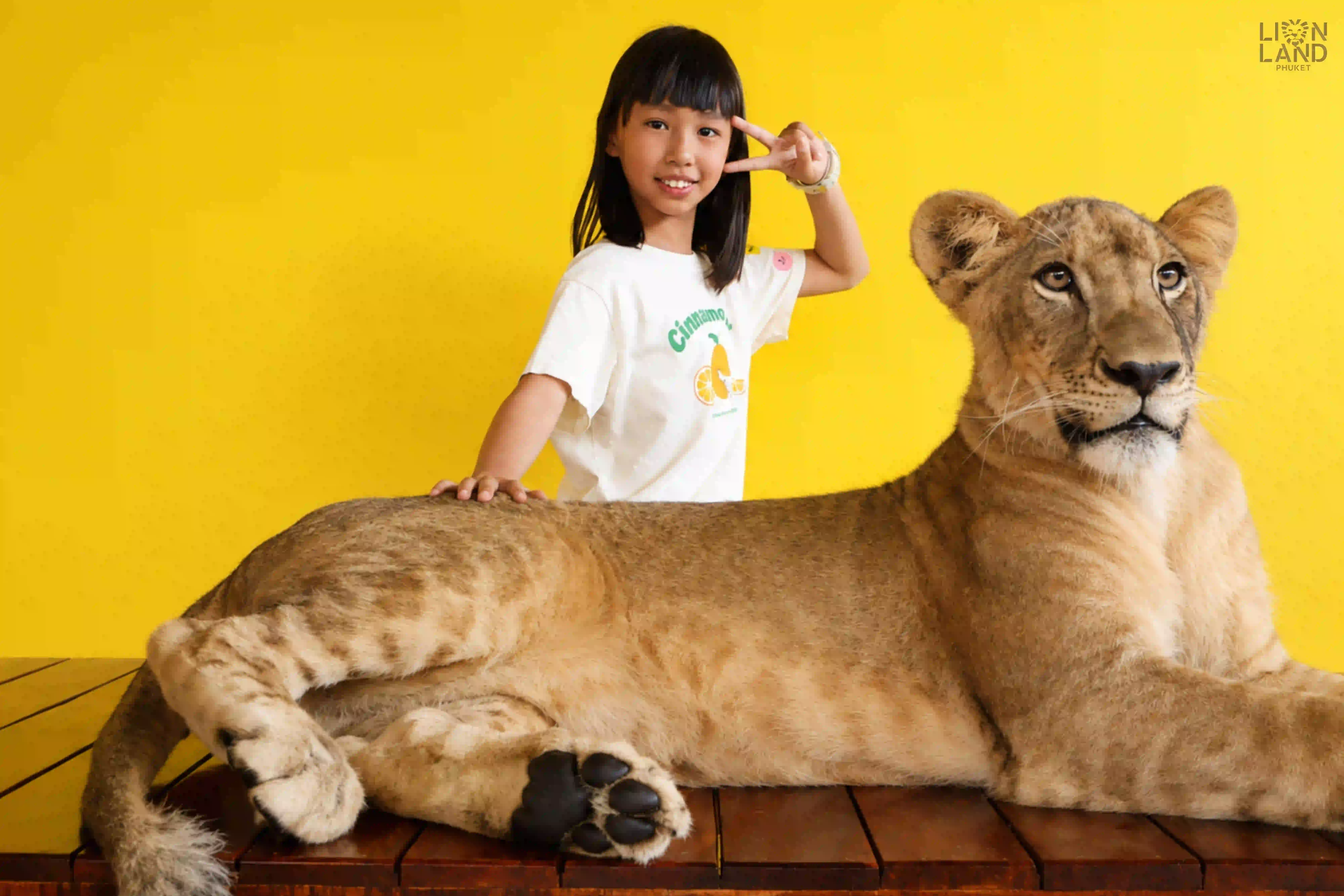 Young Lion