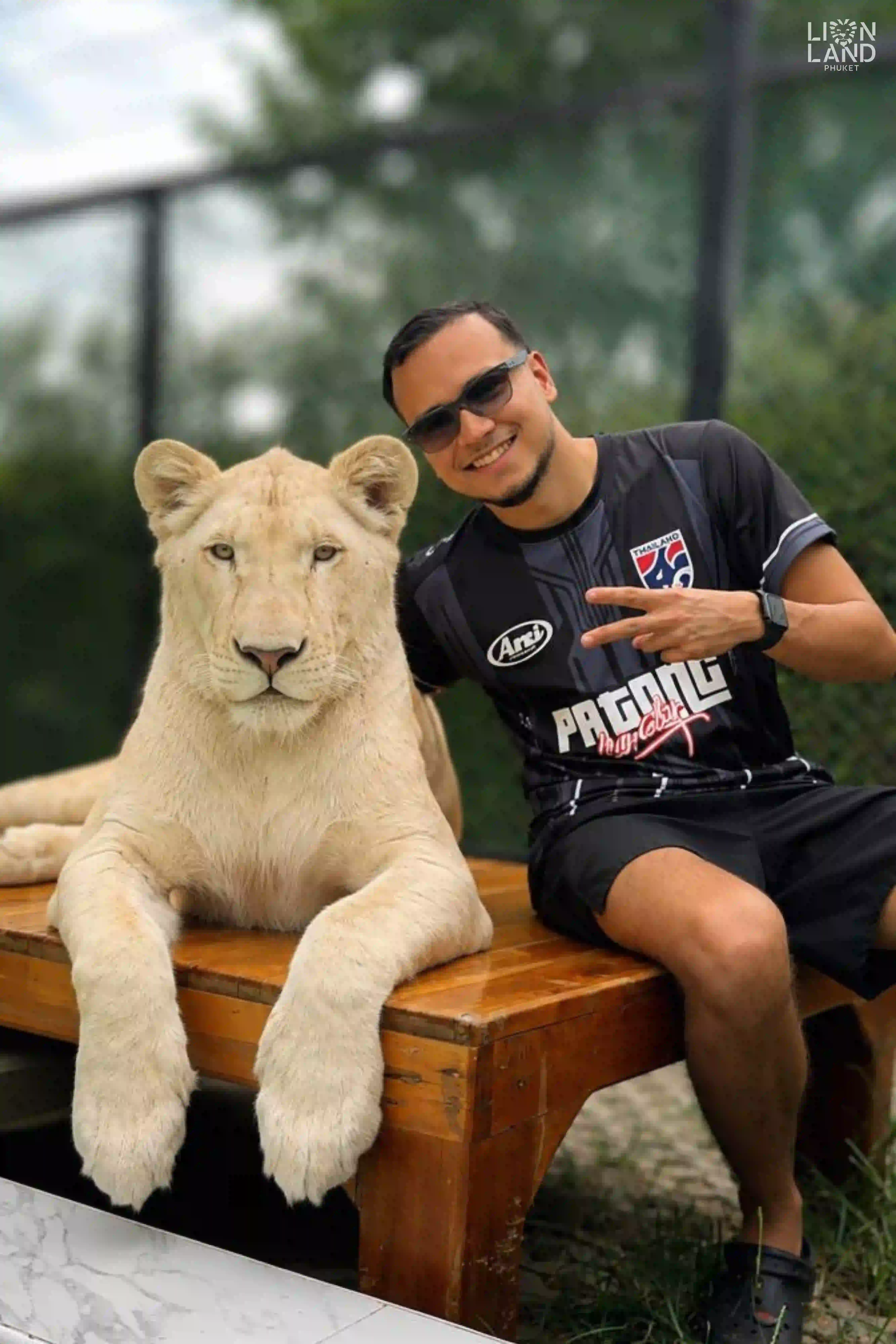 Small Lion