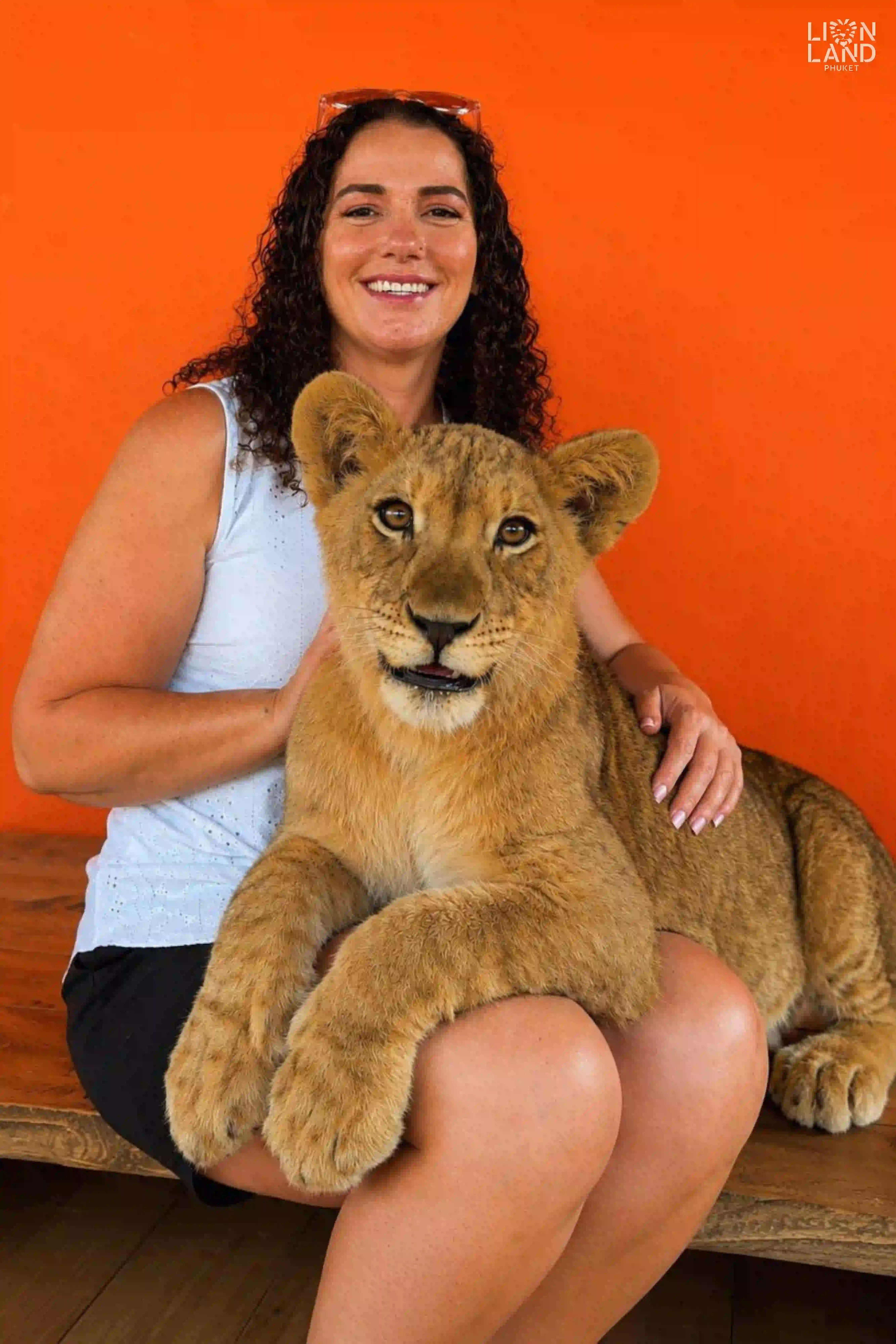 Baby Lion