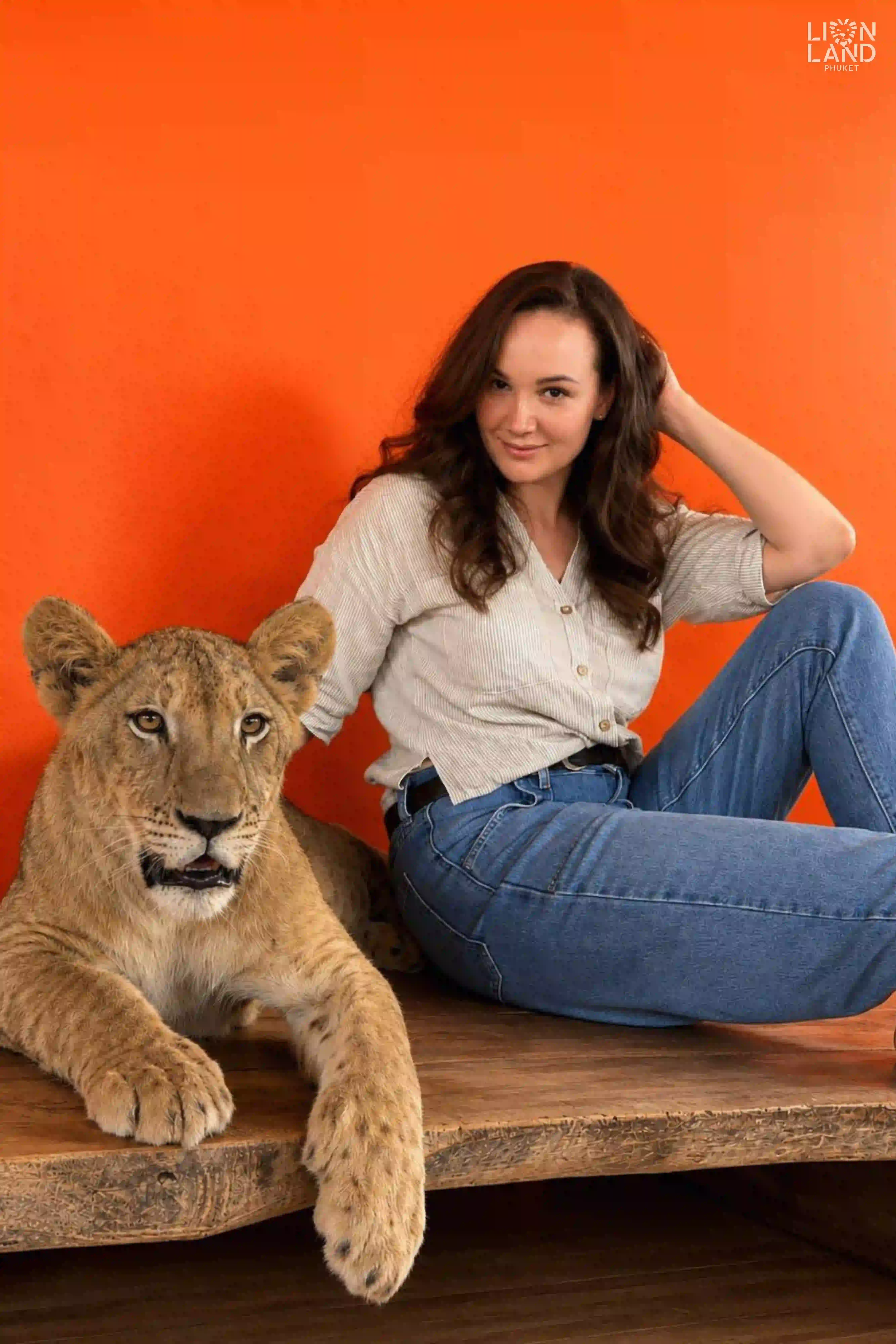 Baby Lion