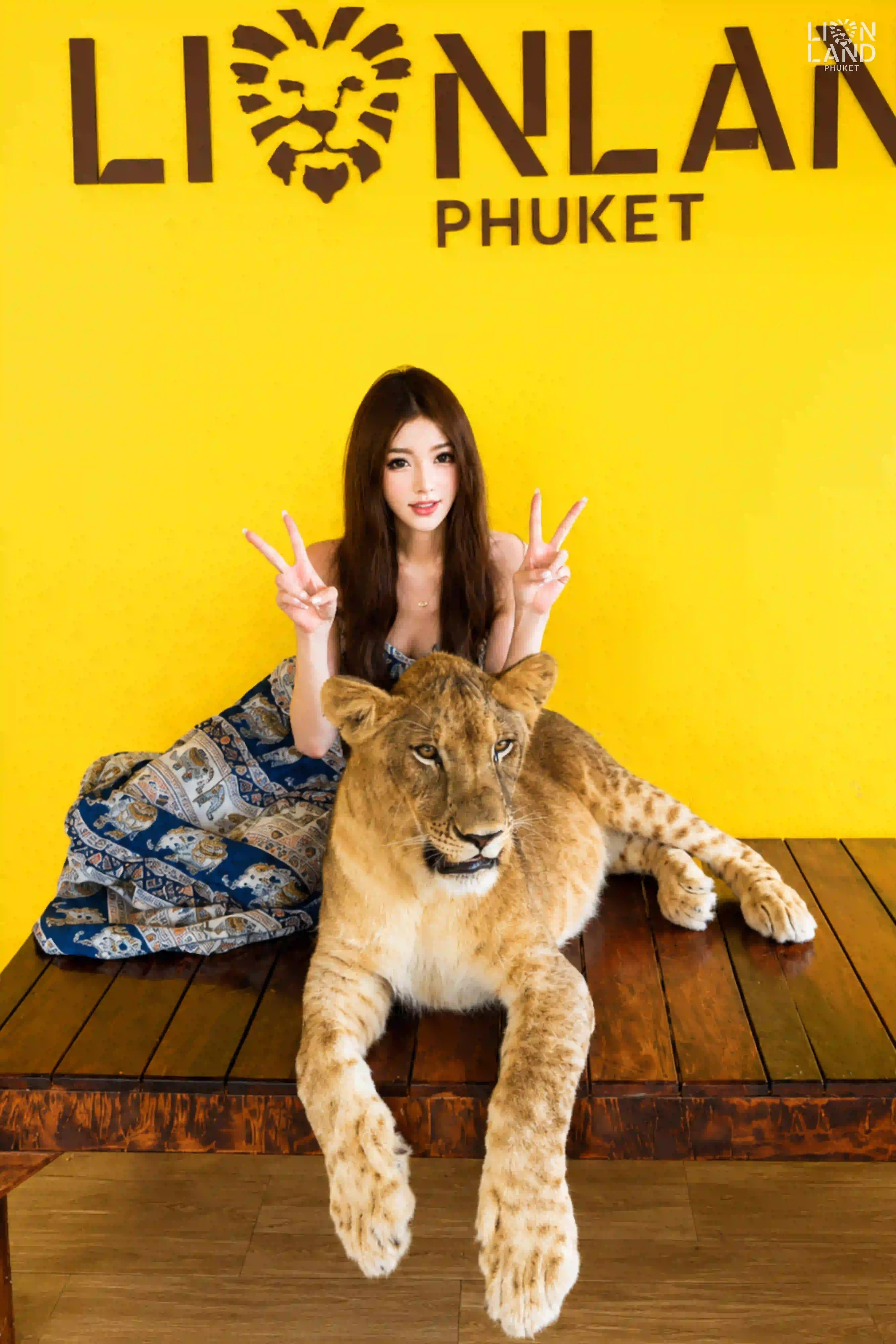 Young Lion