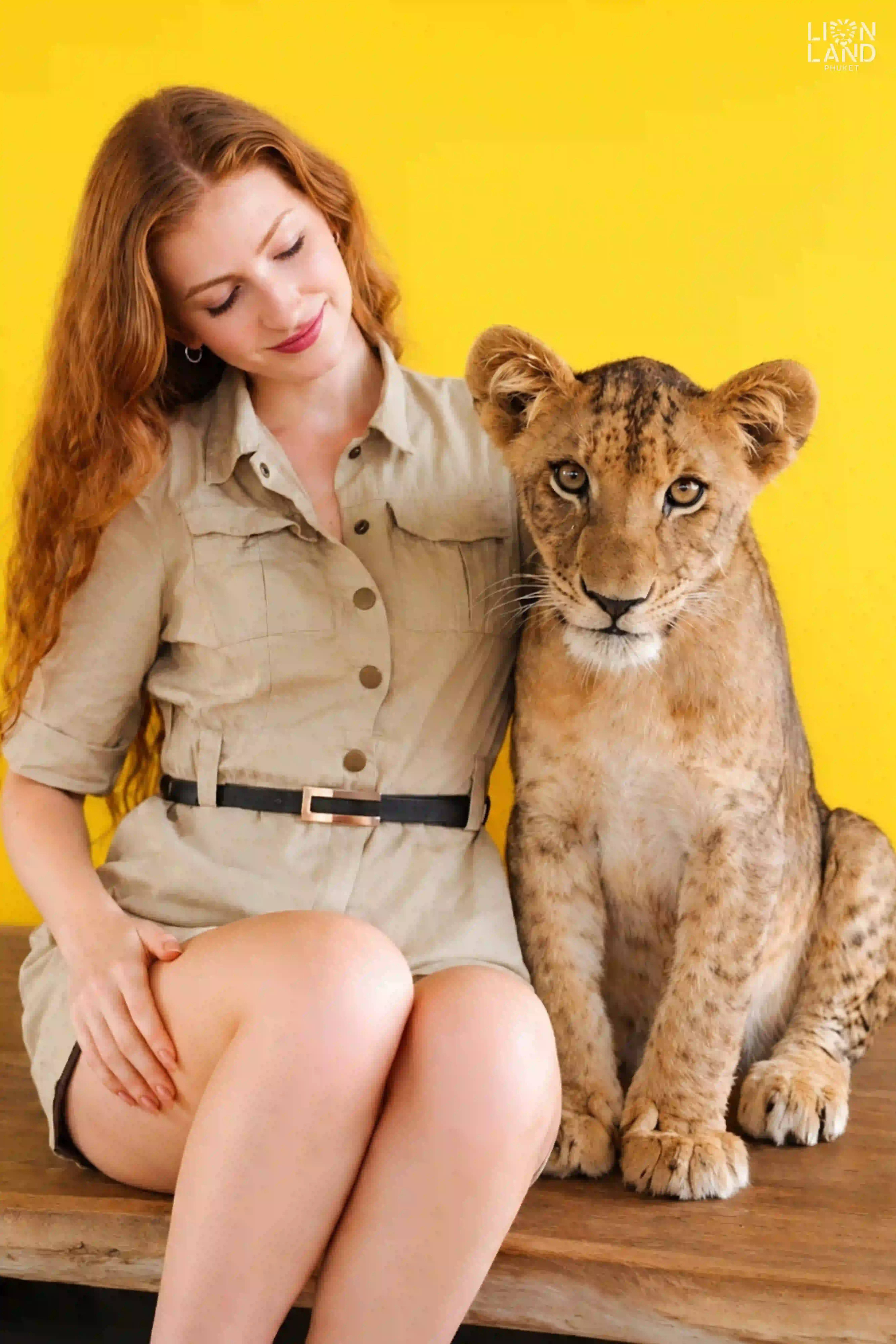 Young Lion