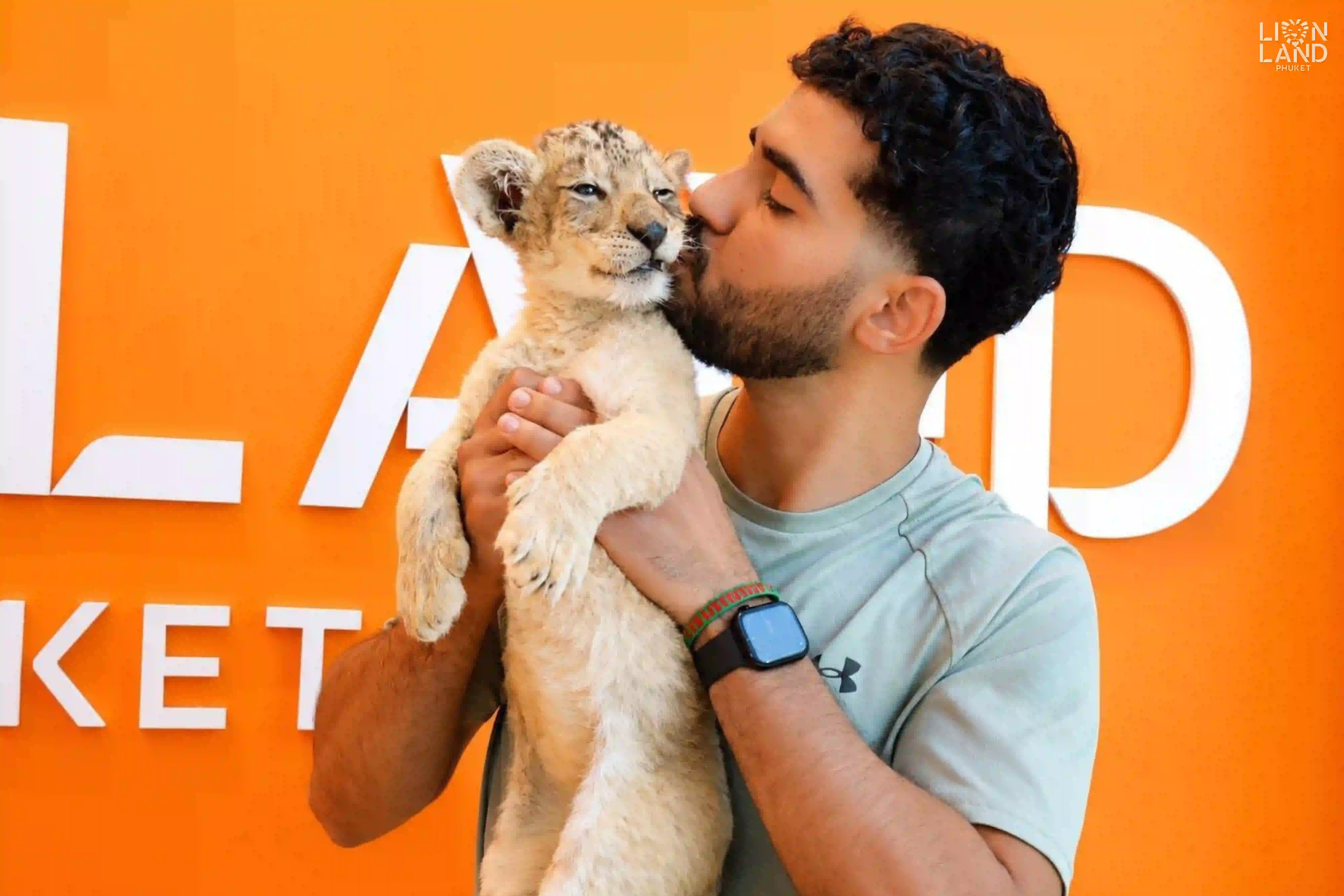 Lion Cub